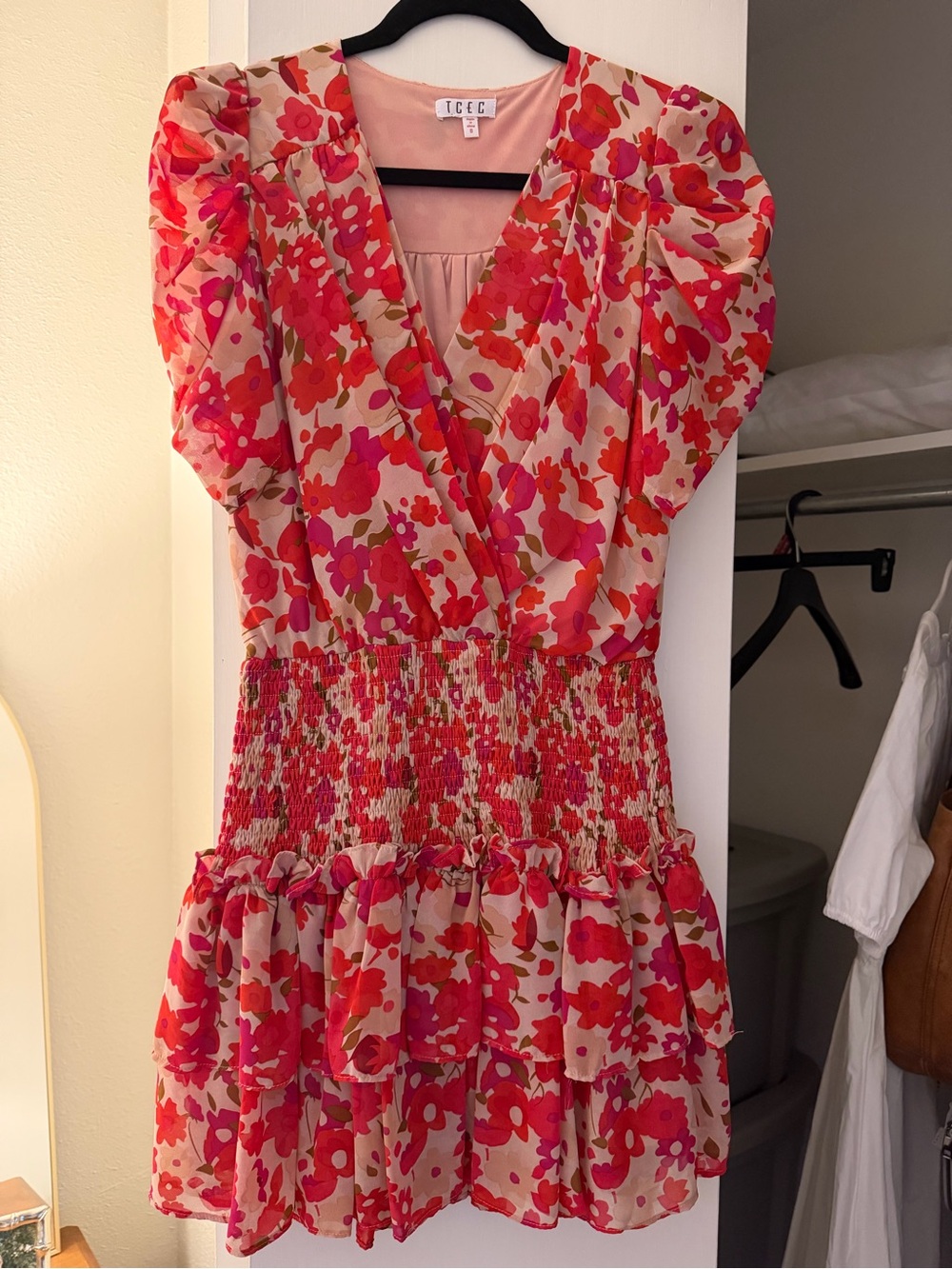 TCEC Pink and Red Floral Tiered Mini Dress